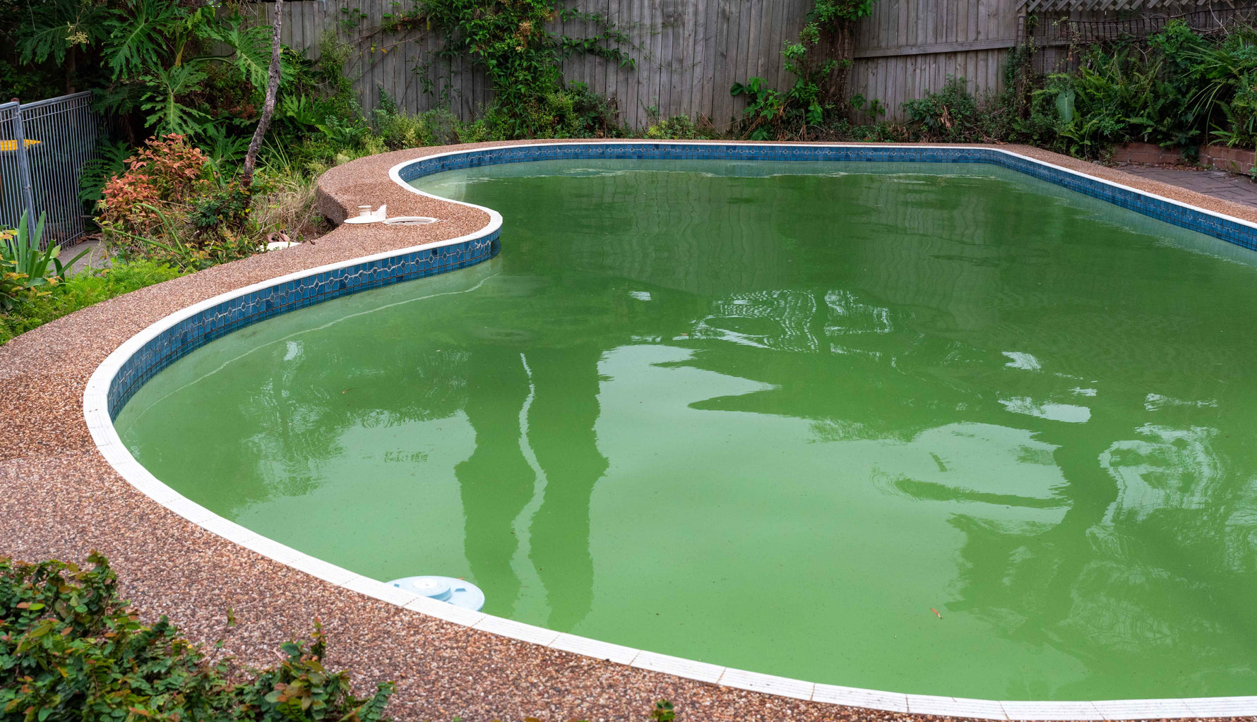 Why Is My Pool Green? | Ask the Pool Experts | Pool World Australia