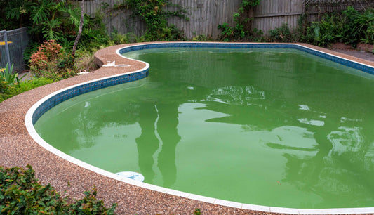 Why Is My Pool Green? | Ask the Pool Experts | Pool World Australia