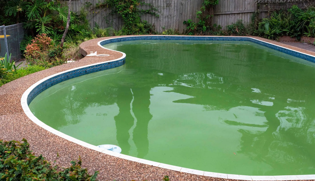 Tips to prevent Algae in your swimming pool