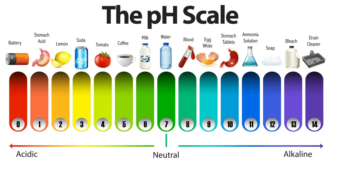 Why the Alkalinity Level is Important for Your Swimming Pool